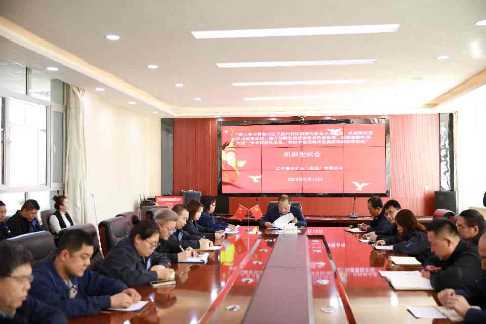 鑫豐集團(tuán)黨支部成功開展“聚力打好全面振興新突破三年行動(dòng)決勝之年決勝之戰(zhàn)”主題黨日活動(dòng)